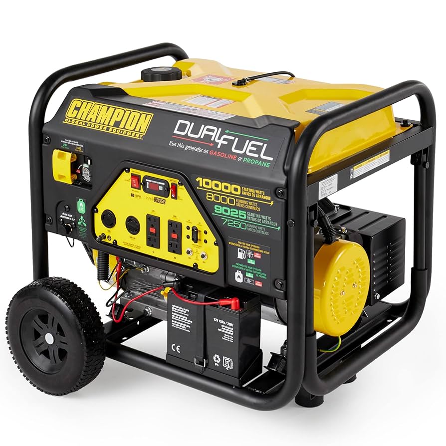 ピーター・ブラッティンガ／Genesis van een compositie Champion Power Equipment 8000-Watt Dual Fuel Portable Generator
